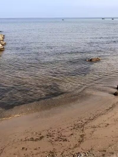 Scott Point Day Use Park - Gould City,