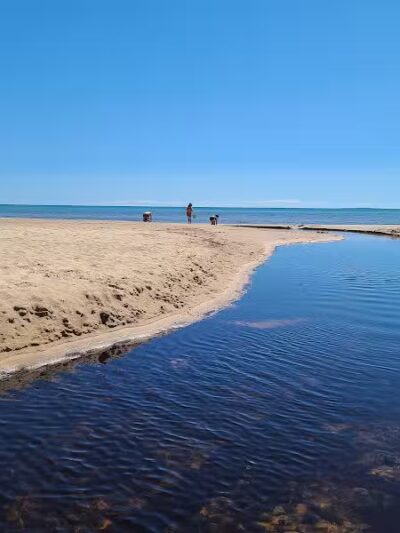 Scott Point Day Use Park - Gould City,