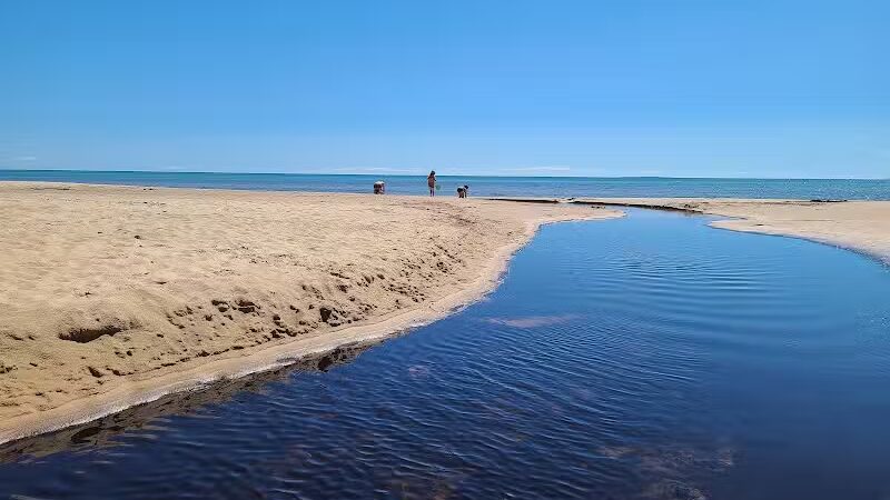 Scott Point Day Use Park - Gould City,