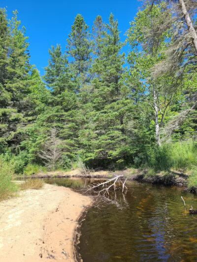 Scott Point Day Use Park - Gould City,