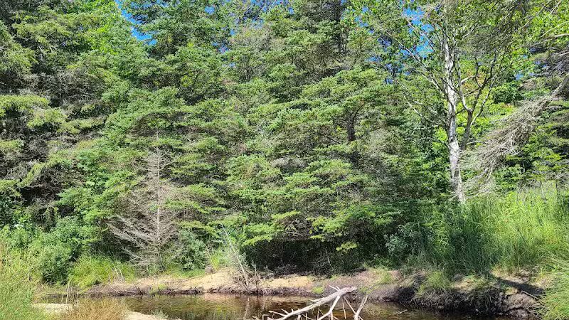 Scott Point Day Use Park - Gould City,