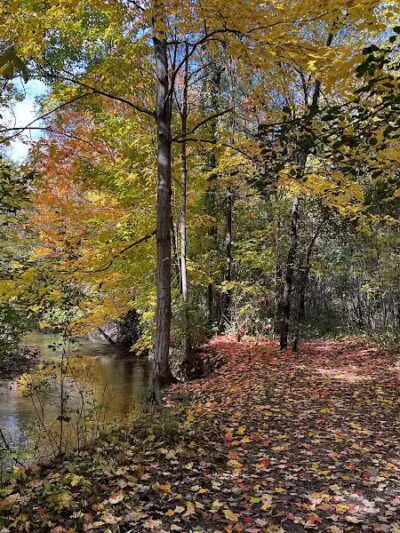 Grand Blanc Commons - Grand Blanc, MI