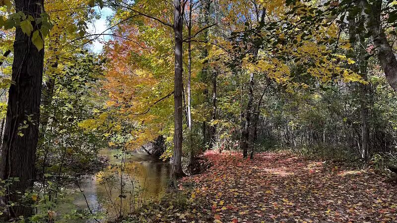 Grand Blanc Commons - Grand Blanc, MI