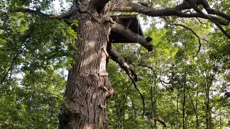 Grand Blanc Commons - Grand Blanc, MI