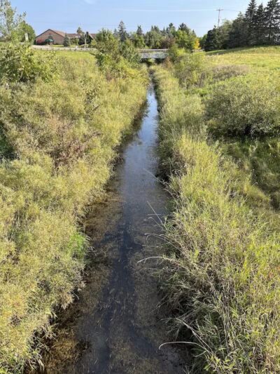 Grand Blanc Commons - Grand Blanc, MI