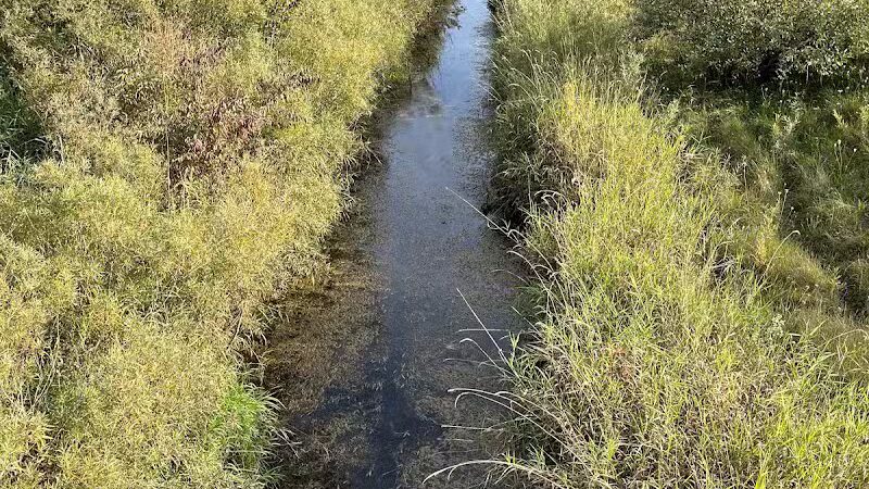 Grand Blanc Commons - Grand Blanc, MI