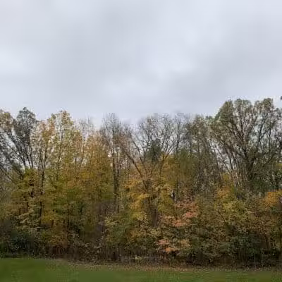Grand Blanc Commons - Grand Blanc, MI
