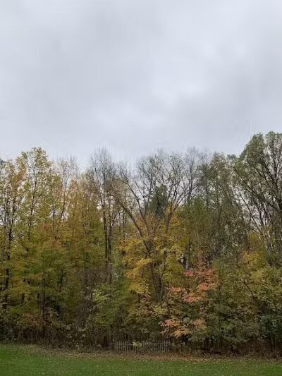 Grand Blanc Commons - Grand Blanc, MI