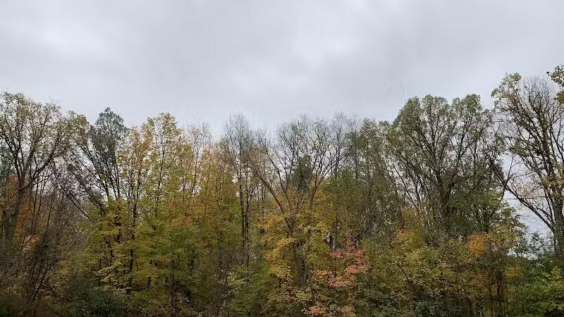 Grand Blanc Commons - Grand Blanc, MI