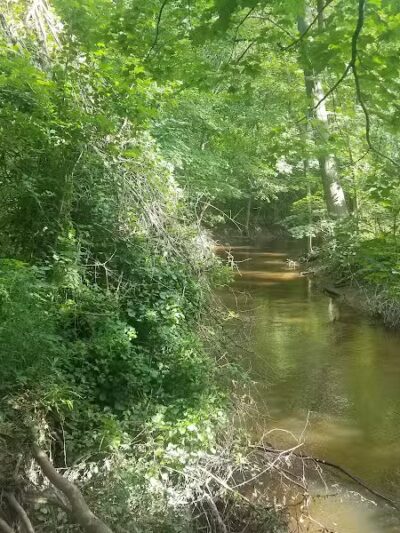 Grand Blanc Commons - Grand Blanc, MI