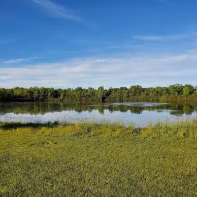 Grand Blanc Dog Park - Grand Blanc, MI