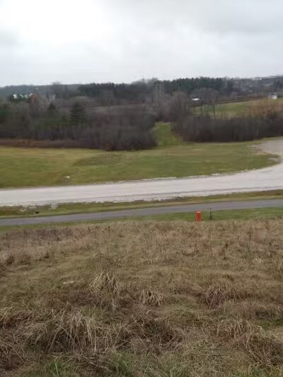 Grand Blanc Dog Park - Grand Blanc, MI