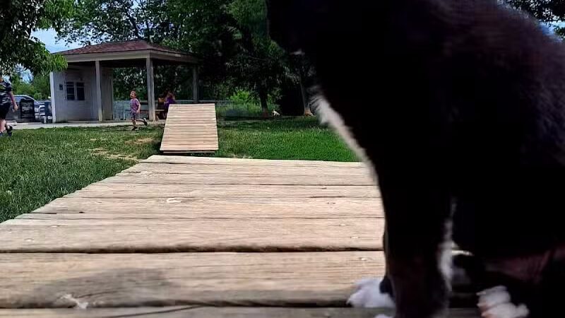 Grand Blanc Dog Park - Grand Blanc, MI