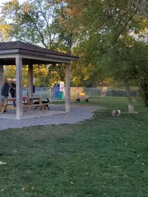 Grand Blanc Dog Park - Grand Blanc, MI