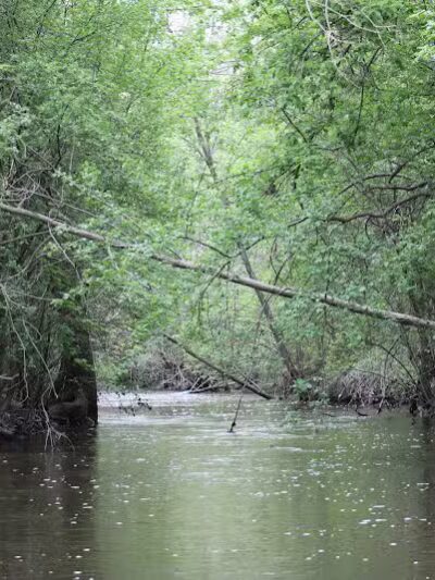 Rust Park - Grand Blanc, MI
