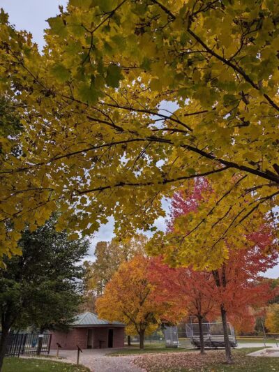 Rust Park - Grand Blanc, MI