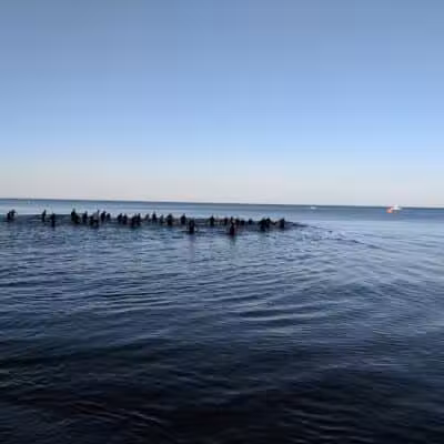 Grand Haven Dog Beach - Grand Haven,