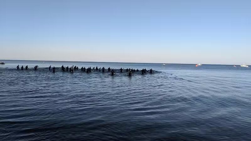 Grand Haven Dog Beach - Grand Haven,