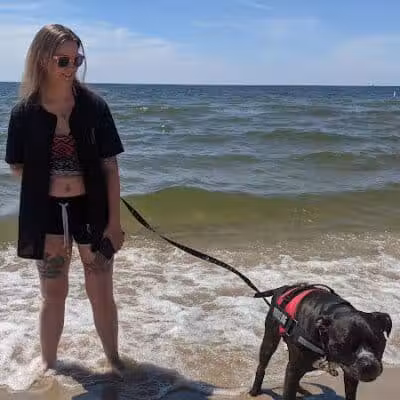 Grand Haven Dog Beach - Grand Haven,