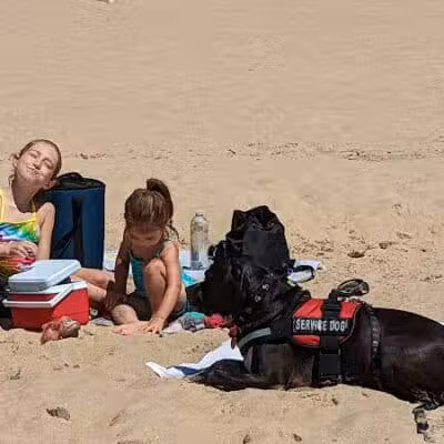 Grand Haven Dog Beach - Grand Haven,