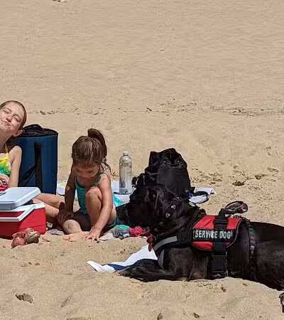 Grand Haven Dog Beach - Grand Haven,