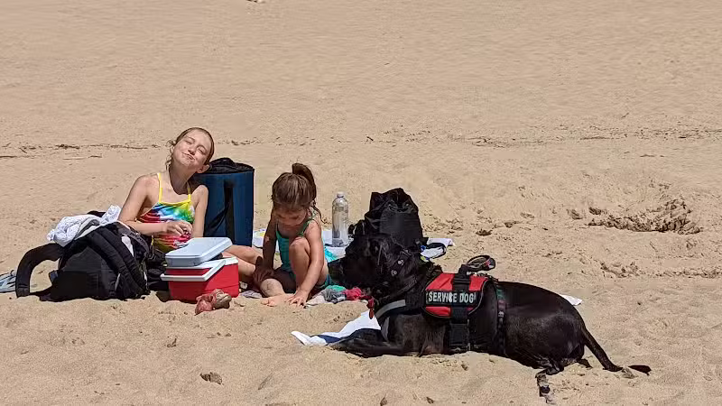 Grand Haven Dog Beach - Grand Haven,