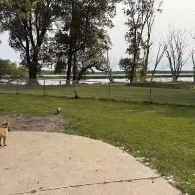 Grand Haven Dog Park - Grand Haven, MI