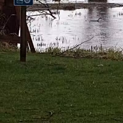 Grand Haven Dog Park - Grand Haven, MI