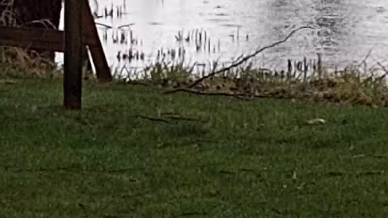 Grand Haven Dog Park - Grand Haven, MI