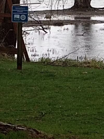 Grand Haven Dog Park - Grand Haven, MI