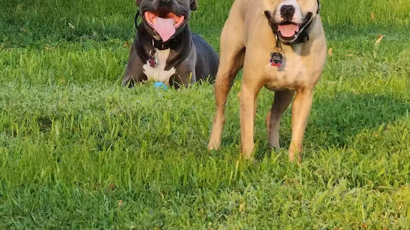 Grand Haven Dog Park - Grand Haven, MI