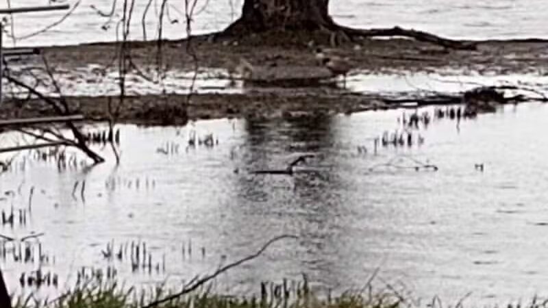 Grand Haven Dog Park - Grand Haven, MI