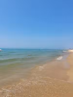 Grand Haven Dog Beach - Grand Haven,