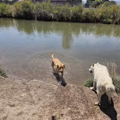 Canyon View Dog Park - Grand Junction, CO