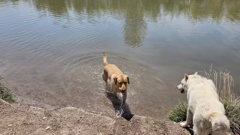 Canyon View Dog Park - Grand Junction, CO