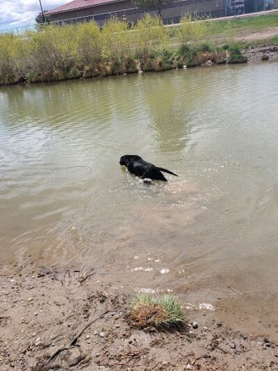 Canyon View Dog Park - Grand Junction, CO