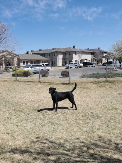 Canyon View Dog Park - Grand Junction, CO
