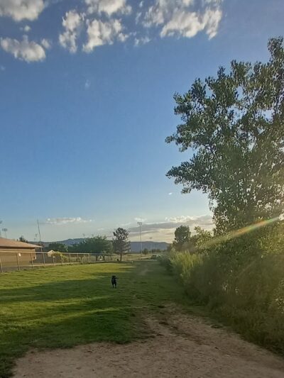 Canyon View Dog Park - Grand Junction, CO