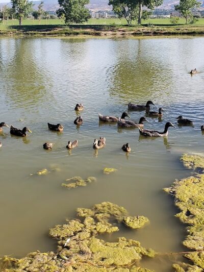 Canyon View Dog Park - Grand Junction, CO