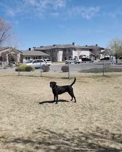 Canyon View Dog Park - Grand Junction, CO