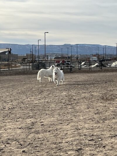 Las Colonias Dog Park - Grand Junction, CO