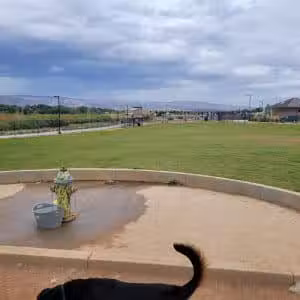 Las Colonias Dog Park - Grand Junction, CO