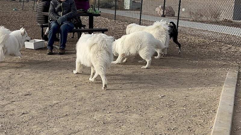 Las Colonias Dog Park - Grand Junction, CO