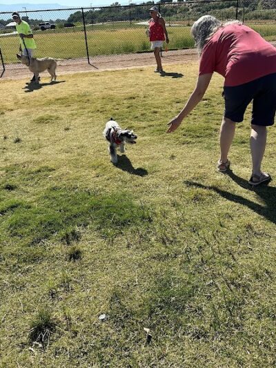 Las Colonias Dog Park - Grand Junction, CO