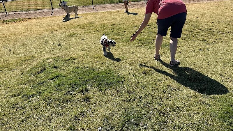 Las Colonias Dog Park - Grand Junction, CO