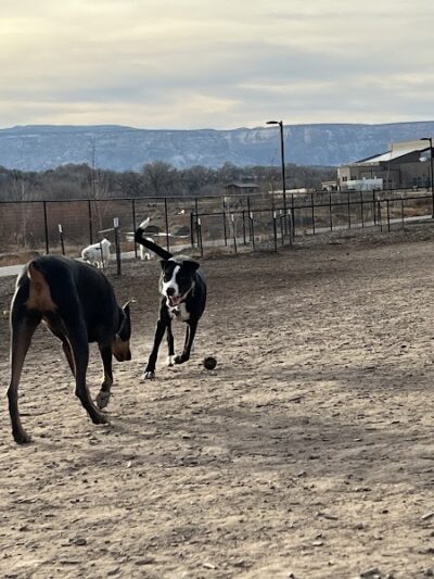Las Colonias Dog Park - Grand Junction, CO