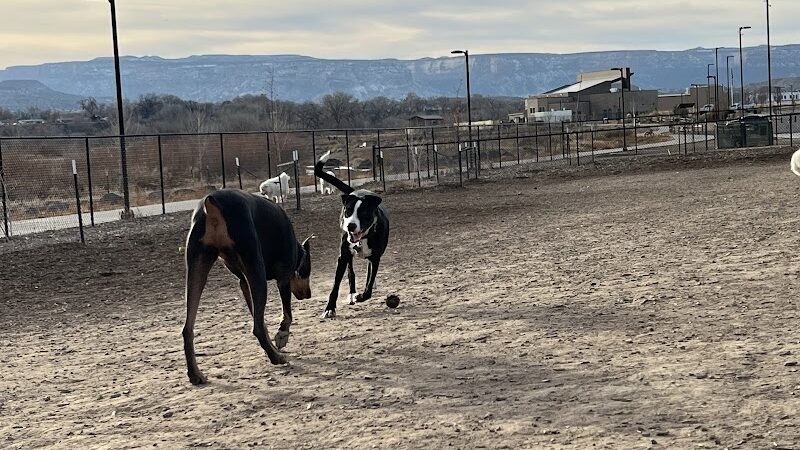 Las Colonias Dog Park - Grand Junction, CO