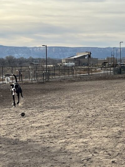 Las Colonias Dog Park - Grand Junction, CO
