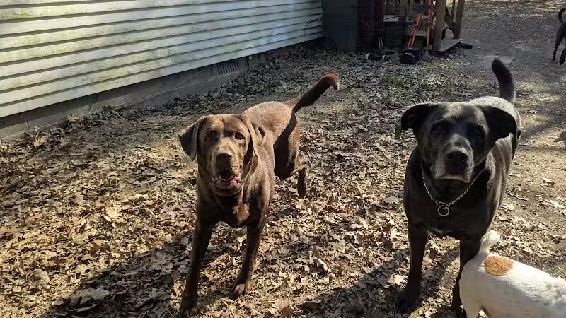 Iva's Place - Grand Junction,