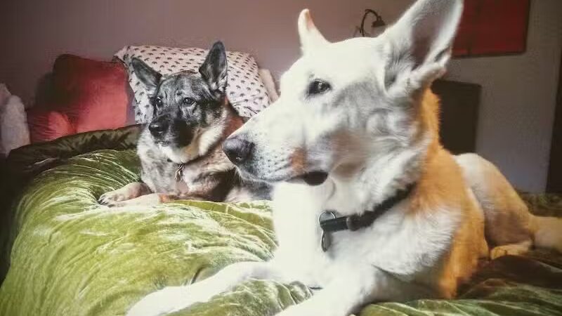 Iva's Place - Grand Junction,